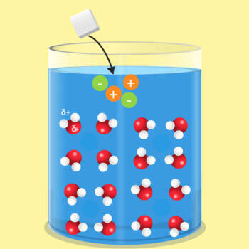Dissolving Process Rectangular Shape Dissolving Process :: Resources :: California Educators Together