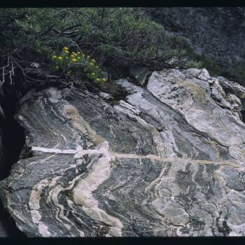 Metamorphic Rocks California Metamorphic Rocks :: Resources :: California Educators Together