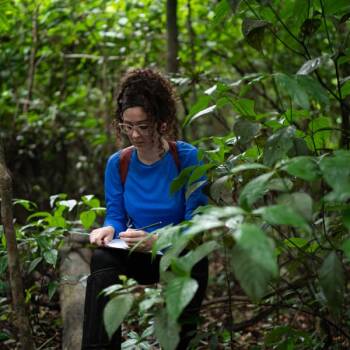 Seeing a Tree from Multiple Viewpoints :: Resources :: California ...