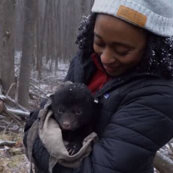 Exploring With Gis Tracking Black Bears Resources California