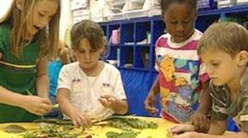 Classifying Leaves :: Resources :: California Educators Together