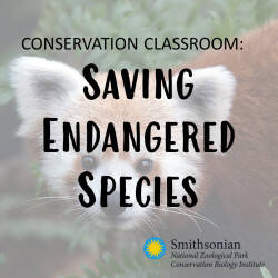 Conservation Classroom: Saving Endangered Species :: Resources ...