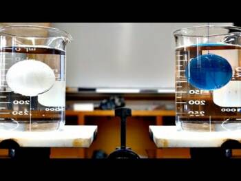 Beaker Ball Balance Problem Resources California Educators Together Beaker Ball Balance Problem Resources California Educators Together